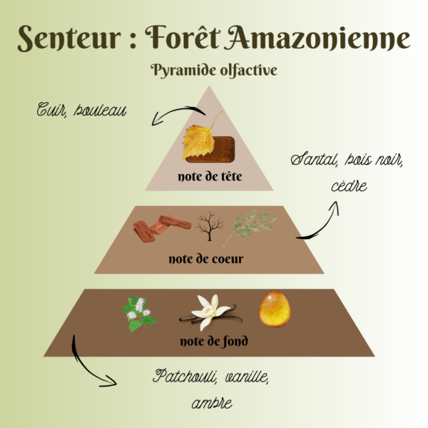 forêt amazonienne