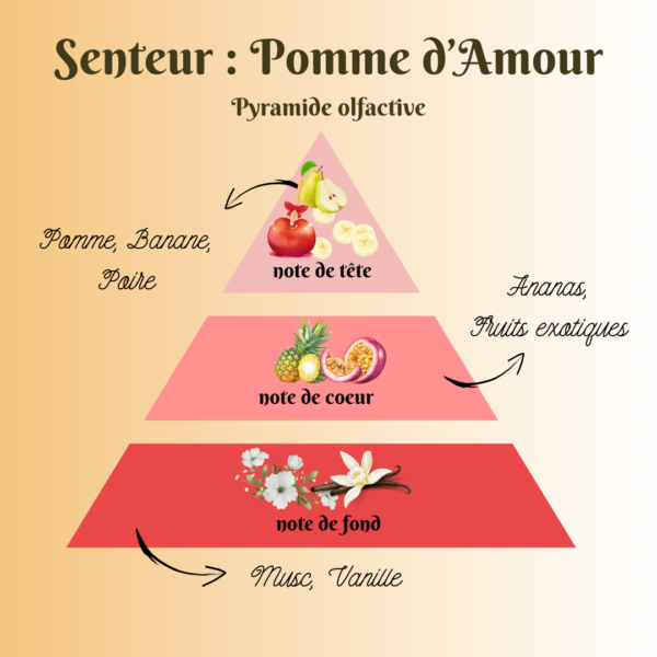 pomme d'amour