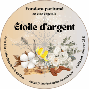 etoile d'argent