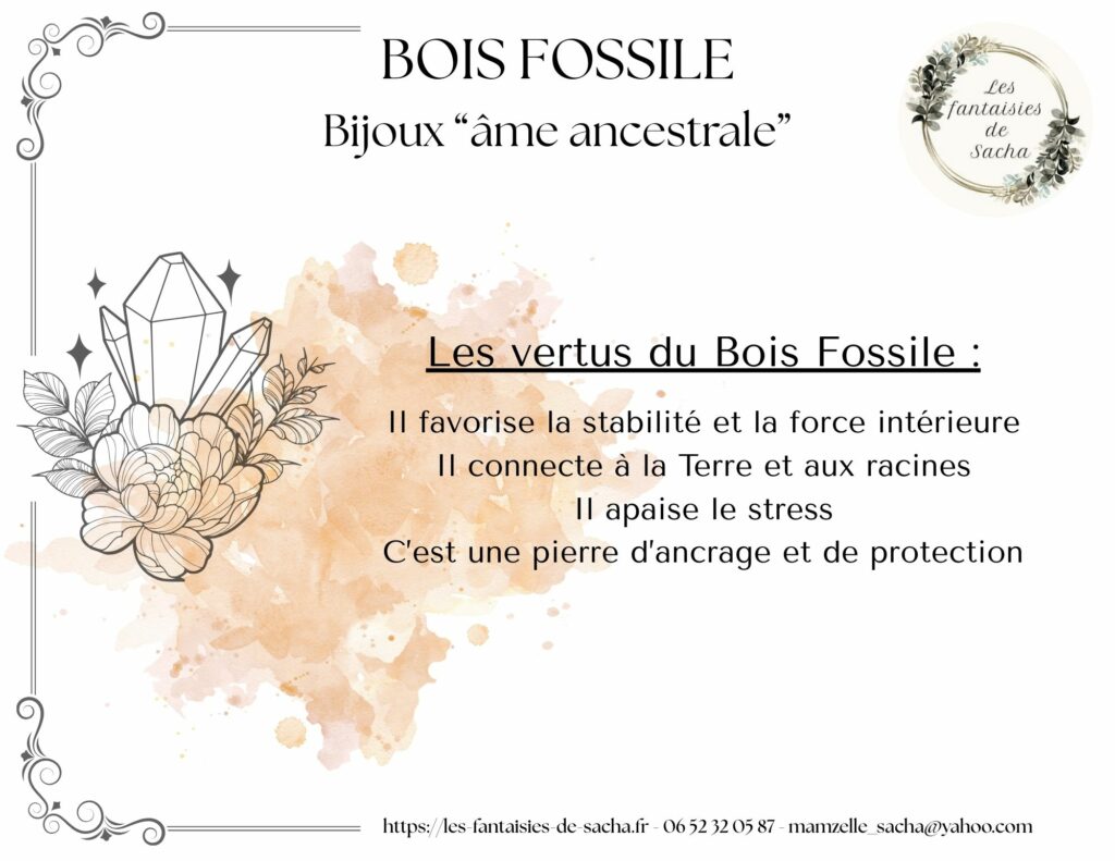 bois fossile