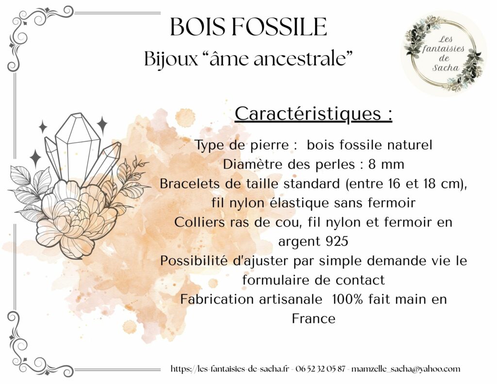 bois fossile