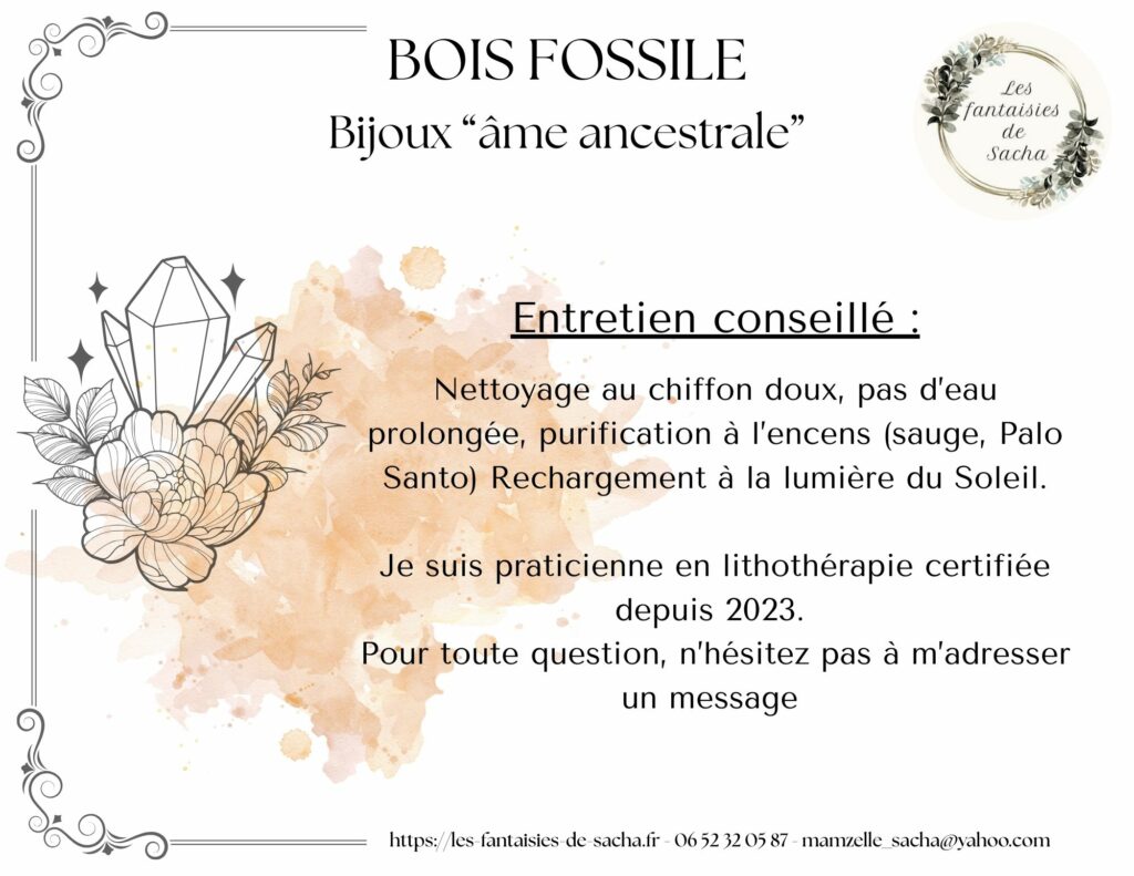 bois fossile
