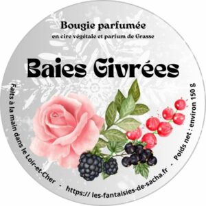 baies givrées