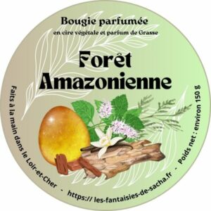 foret amazonienne
